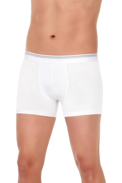 3 Adet Yıldız Erkek Likralı Formen Boxer Short Beyaz 365 ürün görseli 1