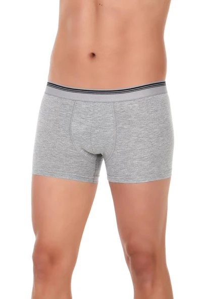 3 Adet Yıldız Erkek Likralı Formen Boxer Short Gri 367 ürün görseli 1