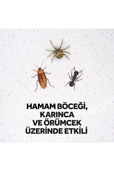 Raid Max Kokusuz Böceksavar 300 Gr - Resim 3