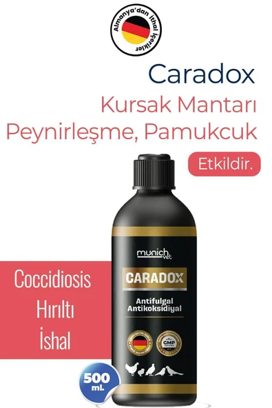 Caradox Kursak Mantarı - Ağızdan Peynirleşme - Kuruma - Hırıltı Ürünü 500 ml ürün görseli 1