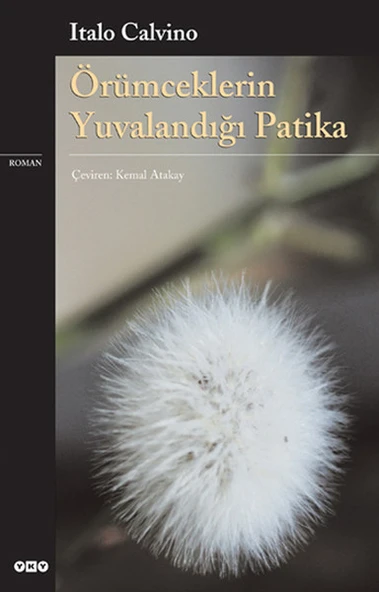 Örümceklerin Yuvalandığı Patika ITALO CALVİNO ürün görseli 1