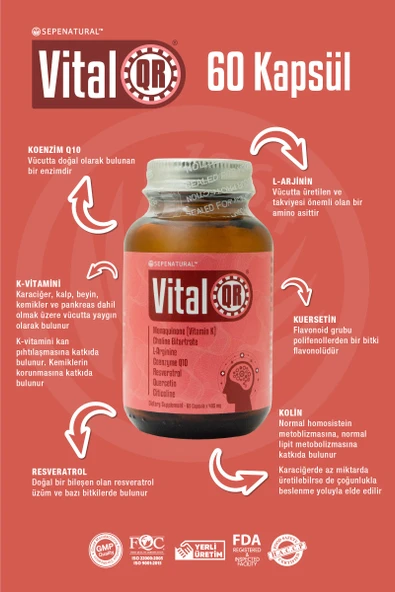 VİTALQR 60 KAPSÜL X 405 MG - Resim 4