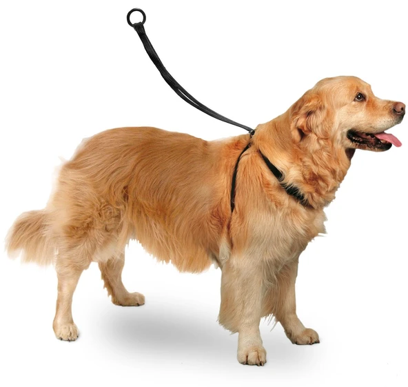 Karlıe Easy Walker Göğüs Tasma 40*58 Cm Large ürün görseli 1