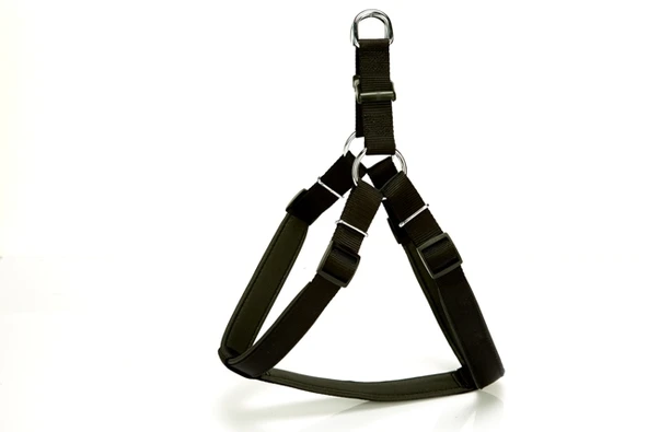 Doggie Comfort Ronin Köpek Bel Tasması 70cm Large Siyah ürün görseli 1