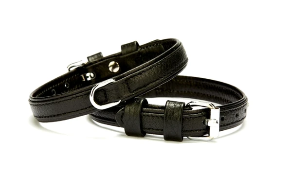 Doggie Flotter Deri Köpek Boyun Tasması 1,5-20x25 cm Siyah ürün görseli 1