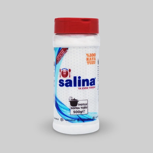 SALİNA TUZLUK 500GR ürün görseli 1