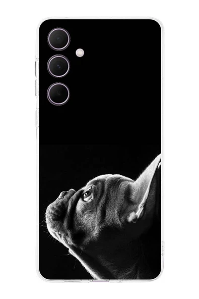 PrintiFy  Samsung Galaxy A36 ile Uyumlu Köpek 1 Kamera Korumalı Şeffaf Kılıf ürün görseli 1