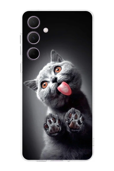 PrintiFy  Galaxy A56 uyumlu Uyumlu Kedi 2 Kamera Korumalı Şeffaf Kılıf ürün görseli 1