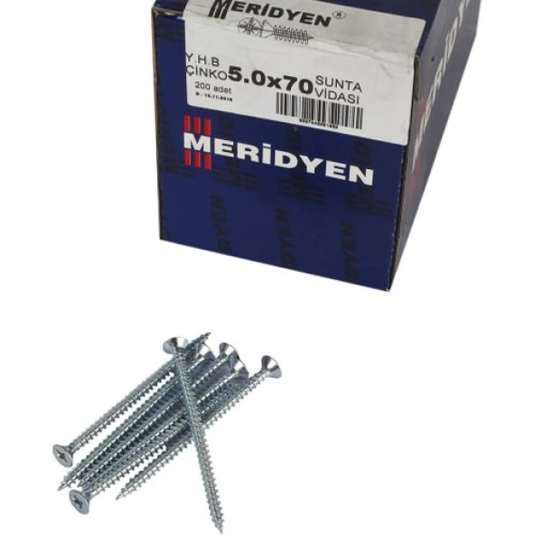 Meridyen Sunta Vidası 5.0x70 200 Lü Paket ürün görseli 1