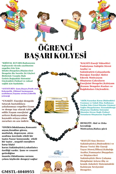 GÜMÜŞTEL EL SANATLARI Sertifikalı Öğrenci Başarı Kolyesi Oniks,Hematit,Unakit, Kristal Kuvars,Akik,Kalsit,Aventurin,Havlit ürün görseli 1