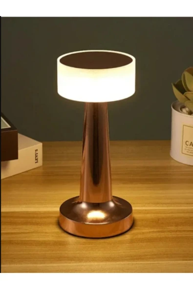 Dekoratif Şarjlı Dokunmatik Led Masa Lambası Usb Kablolu Abajur Ve Gece Lambası Rose ürün görseli 1