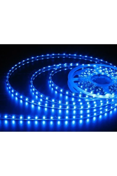 5 Metre On Çip Şerit Led Iç Mekan Mavi Işık ürün görseli 1