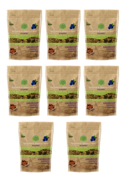 GLUTENSİZ FABRİKA  Karabuğday Granola yaban mersinli 200 gr 8 paket ürün görseli 1