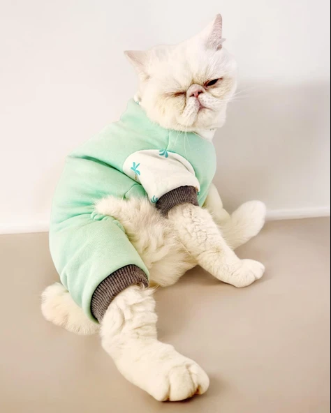 Minty Palm Kalın Penye Kedi Tulum Pijama ürün görseli 1