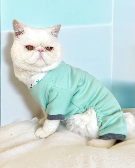 Minty Palm Kalın Penye Kedi Tulum Pijama - Resim 2