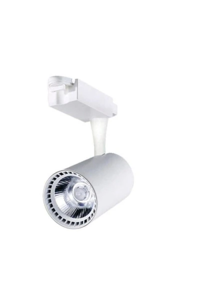 30 W Ray Spot Beyaz Kasa Gün Işığı Led Aydınlatma ürün görseli 1