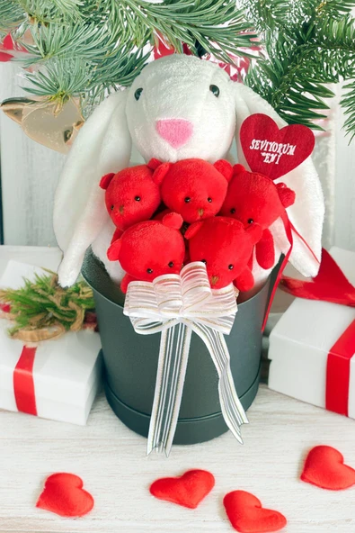 SOLE Premium Özel Hediye Kutusunda 45 cm Beyaz Bunny Tavşan ve 5 Adet Kırmızı Peluş Ayıcık Buketi ürün görseli 1