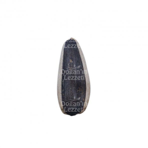 Ay Çekirdeği İthal Çiğ 250 G - Resim 4
