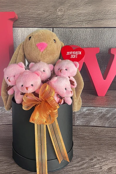 SOLE Premium Özel Hediye Kutusunda  45 cm Bunny Tavşan ve 5 Adet Pembe Peluş Ayıcık Buketi ürün görseli 1