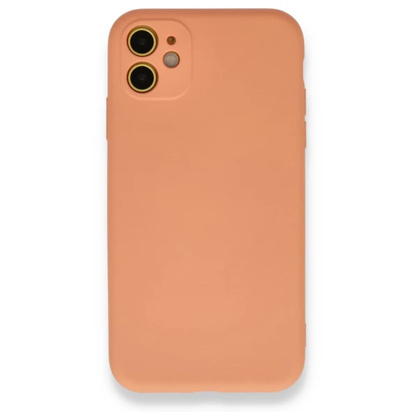 Apple iPhone 11 Kılıf Lansman İçi Kadife Şık Sade Görünüm Azn-NNO ürün görseli 1