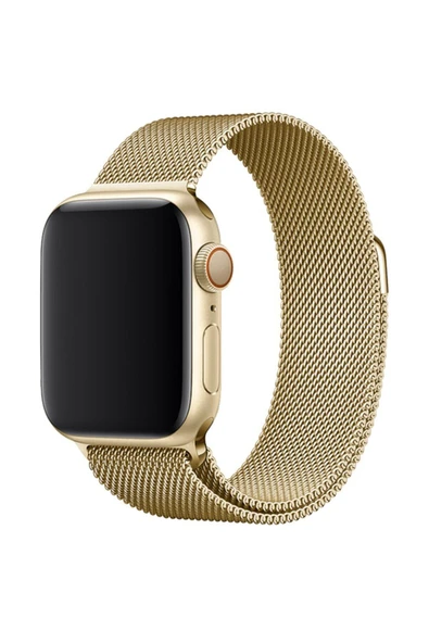 Apple Watch Ultra 49 mm Metal Mıknatıslı Kordon Watch 2/3/4/5/6/7/8/se/ultra Azn-Metal ürün görseli 1