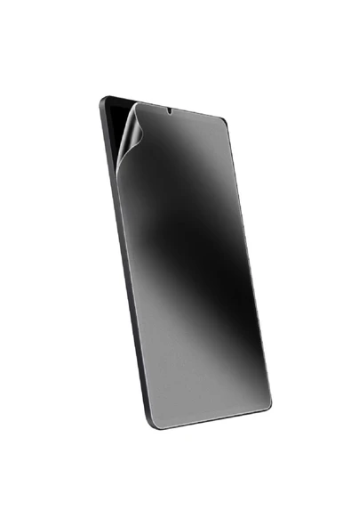 iPad Mini 2021 (6.Nesil) Mat Ekran Koruyucu Kağıt Hisli Mat Zipax-DVN Paper ürün görseli 1