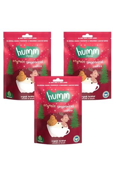 Humm Organic Organik Tarçınlı Zencefilli Kurabiye 3 X 55 Gr ürün görseli 1