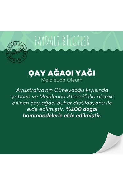 GURME SOKAĞI Çay Ağacı Yağı 10 ml - Resim 3