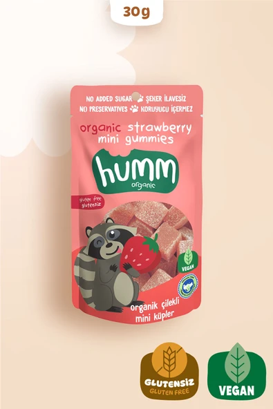 Humm Organic Organik Glutensiz Vegan Çilekli Mini Küpler - 30g ürün görseli 1