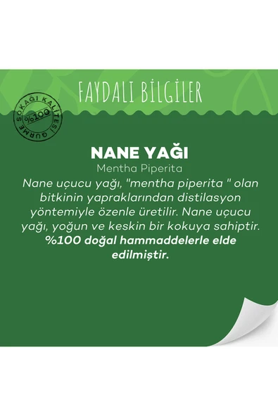 GURME SOKAĞI Nane Yağı 10 ml - Resim 3