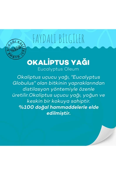 GURME SOKAĞI Okaliptus Yağı 10 ml - Resim 3