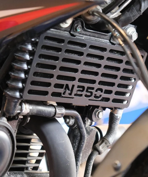 Bajaj Pulsar N250 Radyatör Koruma - Resim 2