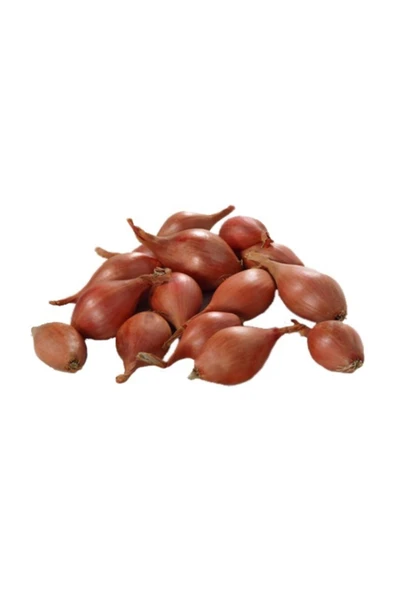 Kıska Soğan 5kg Arpacık Soğan Iska Soğan Tohumu ürün görseli 1