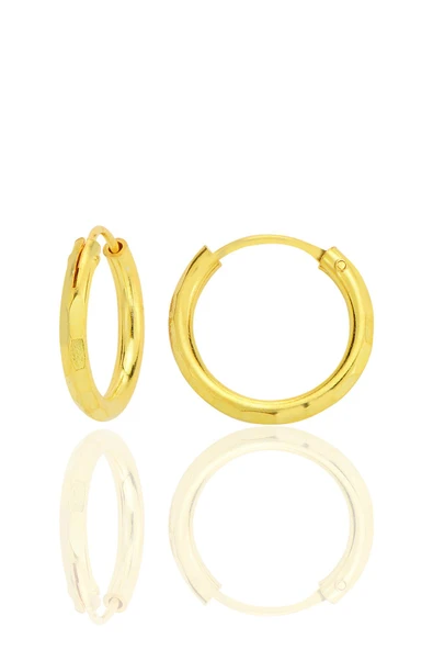 Gümüş altın yaldızlı lazer kesimli 16 mm halka küpe SGTL12748GOLD ürün görseli 1