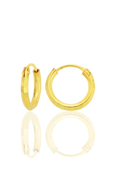 Gümüş altın yaldızlı lazer kesimli 14 mm halka küpe SGTL12747GOLD ürün görseli 1