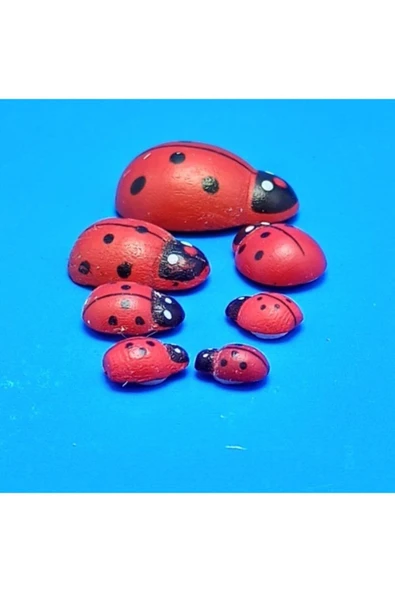 Uğur Böceği Yapışkanlı Küçük Boy ürün görseli 1