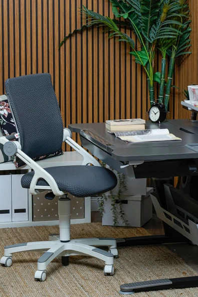 Creo Mobili Yükseklik ve Sırt Ayarlı Sirius Çalışma Sandalyesi Ofis, Bilgisayar Koltuğu Antrasit/Gri ürün görseli 1