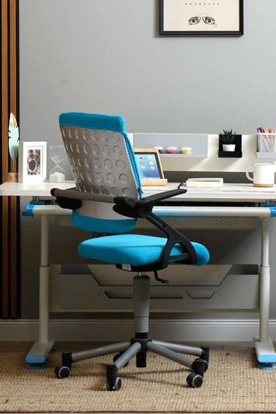 Creo Mobili Yükseklik ve Sırt Ayarlı Vega Çalışma Sandalyesi, Ofis ve Bilgisayar Koltuğu Mavi/Mavi ürün görseli 1