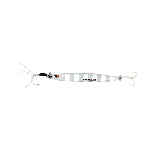 Ryuji Silent Jig 40gr Jig Yem Renk : Zebra Glow ürün görseli 1