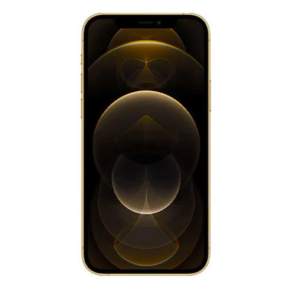 PTTAVM: APPLE IPHONE 12 PRO MAX GOLD 256GB YENILENMIS B KALITE (12