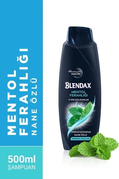 BLENDAX Erkekler I?çin Mentollü Şampuan 500 ml ürün görseli 1