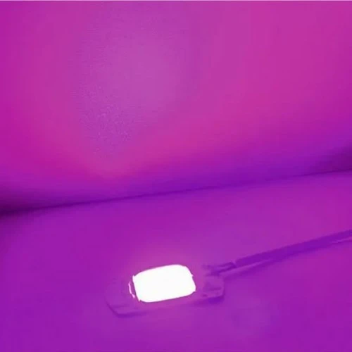 50W 220V Full Spektrum Grow Led - Resim 7