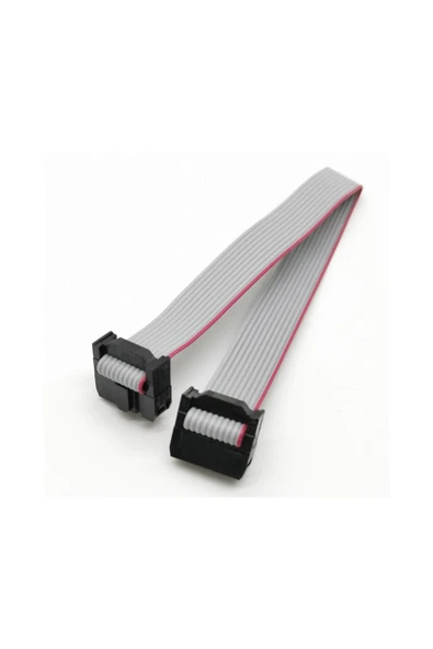 20cm 10 Pin IDC Flat Kablo - Resim 3