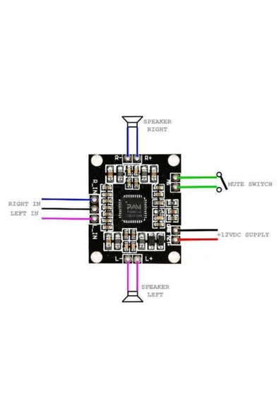 PAM8610 Modül Siyah - Resim 2
