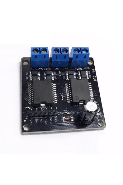 Çift MC33886 Modül - Resim 7