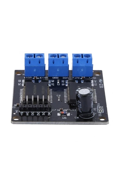 Çift MC33886 Modül - Resim 5