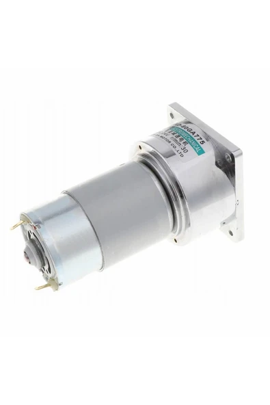 XD-60GA775 24V 30Rpm - Resim 3