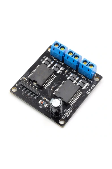 Çift MC33886 Modül - Resim 4