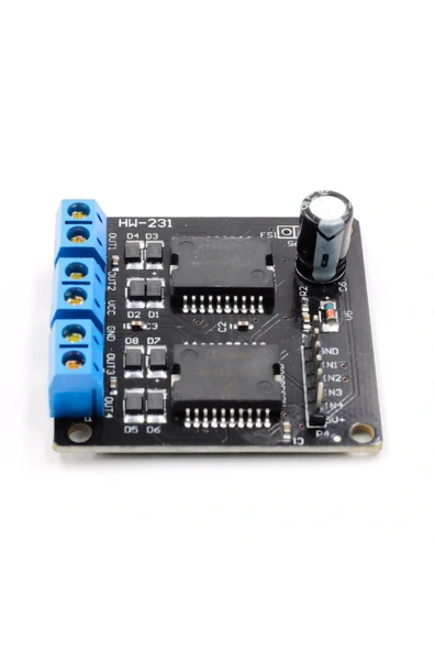Çift MC33886 Modül - Resim 2