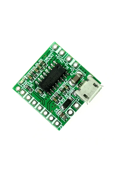 PAM8403 Modul Micro Usb Soketli - Resim 4